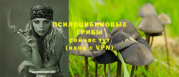 МДПВ Покров