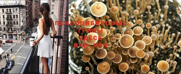 бутират Покровск