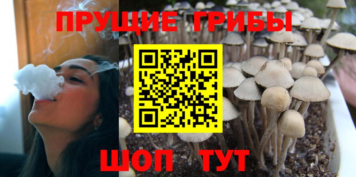 Галлюциногенные грибы GOLDEN TEACHER Краснотурьинск