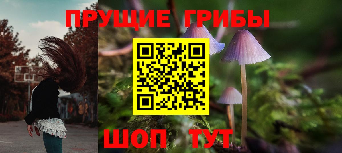 Краснотурьинск  Галлюциногенные грибы Cubensis  Псилоцибиновые грибы прущие грибы  Вход с VPN 